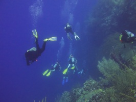 Divers IMG 7313